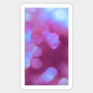 Pink Droplets Sticker